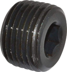 Unbrako - 1/2-14, 9/16" OAL, Alloy Steel Socket Pressure Plug - 3/4" Taper per Foot, 3/8" Hex Key - Apex Tool & Supply