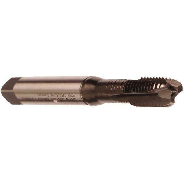 Emuge - 5/16-24 UNF, 3 Flute, Nitride Finish, Cobalt Spiral Point Tap - Modified Bottoming Chamfer, Right Hand Thread, 3.543" OAL, 0.669" Thread Length, 0.318" Shank Diam, 3BX Class of Fit, Series Rekord B - Exact Industrial Supply