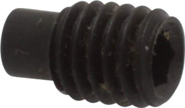 Value Collection - M5x0.80, 8mm OAL, Dog Point Set Screw - Grade 14.9 (45H) Alloy Steel, 2.5mm Key - Apex Tool & Supply