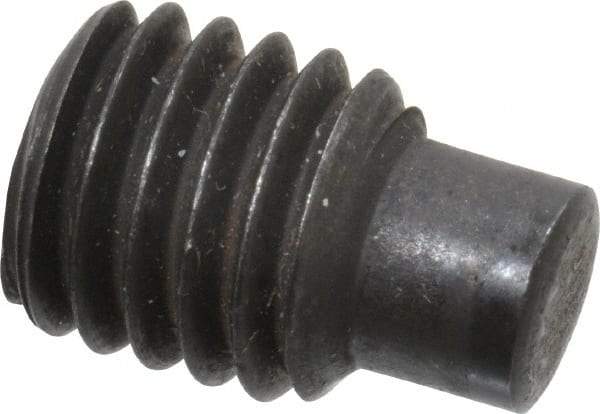 Value Collection - M8x1.25, 12mm OAL, Dog Point Set Screw - Grade 14.9 (45H) Alloy Steel, 4mm Key - Apex Tool & Supply