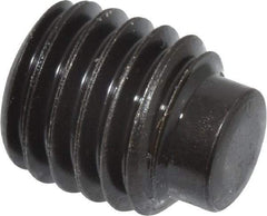 Value Collection - M10x1.50, 12mm OAL, Dog Point Set Screw - Grade 14.9 (45H) Alloy Steel, 5mm Key - Apex Tool & Supply