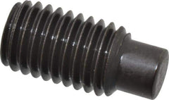 Value Collection - M12x1.75, 25mm OAL, Dog Point Set Screw - Grade 14.9 (45H) Alloy Steel, 6mm Key - Apex Tool & Supply