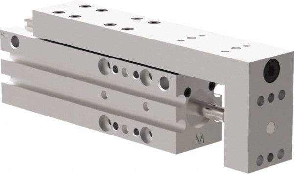 De-Sta-Co - 25mm Stroke, 0.4331" Shaft Diam, Double-Acting Cylinder, Pneumatic Slide - 102mm Long x 20mm Wide, Buna-N Seal, Ball Bearing, Series DLM - Apex Tool & Supply