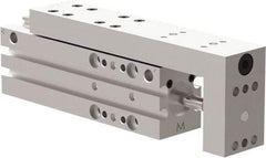 De-Sta-Co - 25mm Stroke, 0.4331" Shaft Diam, Double-Acting Cylinder, Pneumatic Slide - 102mm Long x 20mm Wide, Buna-N Seal, Ball Bearing, Series DLM - Apex Tool & Supply