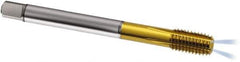 Guhring - M12x1.00 Metric Fine 6HX D7/D8 Thread Limit Modified Bottoming Thread Forming Tap - Powdered Metal High Speed Steel, TiN Finish, 100mm OAL, Series 338 - Apex Tool & Supply