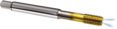 Guhring - M6x1.00 Metric 6HX D8/D9 Thread Limit Modified Bottoming Thread Forming Tap - Powdered Metal High Speed Steel, TiN Finish, 80mm OAL, Series 323 - Apex Tool & Supply