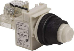 Schneider Electric - 120 V White Lens LED Press-to-Test Indicating Light - Round Lens, Screw Clamp Connector, Corrosion Resistant, Dust Resistant, Oil Resistant - Apex Tool & Supply