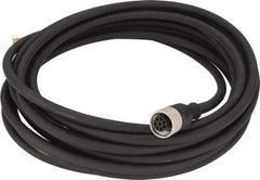 Telemecanique Sensors - 2 Amp, M12 8 Pin Female Straight Cordset Sensor and Receptacle - 250 VAC, 300 VDC, 5m Cable Length, IP67 Ingress Rating - Apex Tool & Supply
