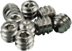 Acorn Engineering - #6-32, 1/8" Long, Flat Point Set Screw - Grade 18-8 Stainless Steel - Apex Tool & Supply