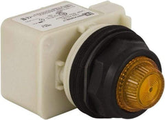 Schneider Electric - 120 V Amber Lens LED Indicating Light - Round Lens, Screw Clamp Connector, Corrosion Resistant, Dust Resistant, Oil Resistant - Apex Tool & Supply