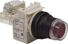 Schneider Electric - 30mm Mount Hole, Extended Straight, Pushbutton Switch with Contact Block - Red Pushbutton, Momentary (MO) - Apex Tool & Supply