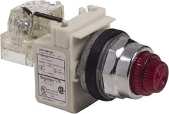Schneider Electric - 120 VAC Red Lens LED Pilot Light - Round Lens, Screw Clamp Connector - Apex Tool & Supply