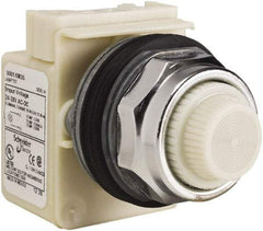 Schneider Electric - 28 V White Lens Indicating Light - Screw Clamp Connector - Apex Tool & Supply