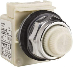 Schneider Electric - 120 VAC White Lens Indicating Light - Screw Clamp Connector - Apex Tool & Supply
