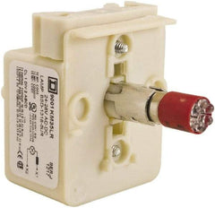 Schneider Electric - 24-28 VAC, 24-28 VDC Red Lens LED Light Module - Apex Tool & Supply