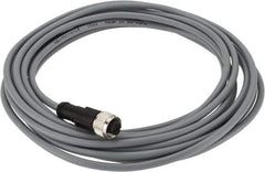 Telemecanique Sensors - 3 Amp, M12 4 Pin Female Straight Cordset Sensor and Receptacle - 250 VAC, 300 VDC, 5m Cable Length, IP67 Ingress Rating - Apex Tool & Supply