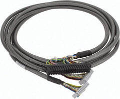 Schneider Electric - Computer Cable - ST CABLE XBTGC 5"7 2M TELEFAST CABLE XBTGC 5"7 - Apex Tool & Supply