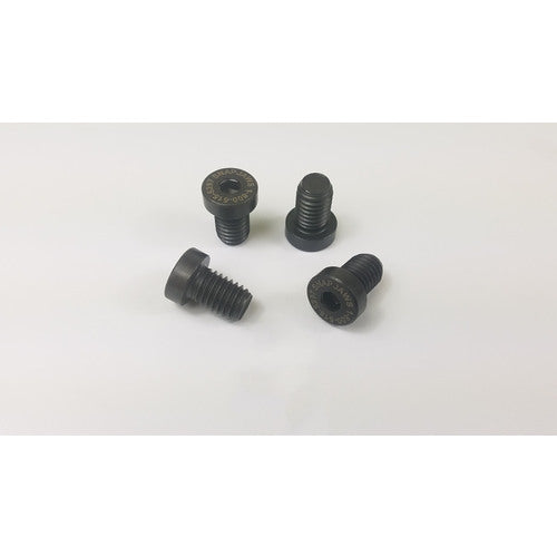 6″ Mount Screws 4 Pc. Per Pack - Apex Tool & Supply