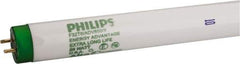 Philips - 25 Watt Fluorescent Tubular Medium Bi-Pin Lamp - 5,000°K Color Temp, 2,400 Lumens, T8, 36,000 hr Avg Life - Apex Tool & Supply