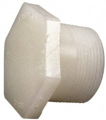 NIBCO - 1/2" PVDF Plastic Pipe Threaded Plug - Schedule 80, MIPT End Connections - Apex Tool & Supply