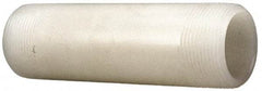 NIBCO - 2" Pipe, 6" Long PVDF Threaded Plastic Pipe Nipple - Schedule 80, Natural - Apex Tool & Supply