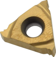 Seco - 16ER External Right Hand 20 UN Laydown Threading Insert - Grade CP500, TiAlN/TiN Coated Carbide - Apex Tool & Supply