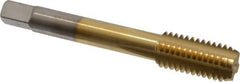 Balax - 1/2-13 UNC 3B 4 Flute TiN Finish Cobalt Straight Flute Machine Tap - Bottoming, Right Hand Thread, 3-3/8" OAL, 1" Thread Length, H3 Limit, Oversize - Exact Industrial Supply