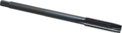 Kennametal - M12x1.75 Metric Coarse 3 Flute D6 Oxide Finish High Speed Steel Spiral Point Extension Tap - Plug Chamfer, 6" OAL, 6H Class of Fit - Apex Tool & Supply
