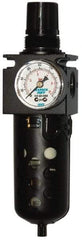 SandPIPER - 1/2" Pump, Filter/Regulator - For Use with Diaphragm Pumps - Apex Tool & Supply