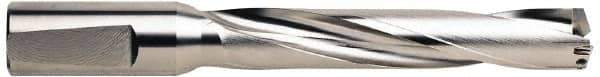 Guhring - 18 to 19.05mm Diam, 5xD, 100mm Max Depth, 20mm Shank Diam, 124mm Flute, 178mm OAL, Replaceable Tip Drill - RT 800 WP Insert, 1.1 Seat Size, Series 5243 - Apex Tool & Supply