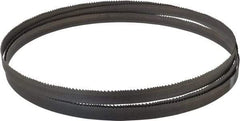 Starrett - 6 to 10 TPI, 10' Long x 3/4" Wide x 0.035" Thick, Welded Band Saw Blade - Bi-Metal, Toothed Edge, Raker Tooth Set, Contour Cutting - Apex Tool & Supply