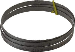 Starrett - 10 to 14 TPI, 5' Long x 1/2" Wide x 0.025" Thick, Welded Band Saw Blade - Bi-Metal, Toothed Edge, Raker Tooth Set, Contour Cutting - Apex Tool & Supply
