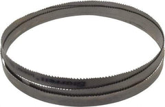 Starrett - 6 to 10 TPI, 7' 8-1/2" Long x 3/4" Wide x 0.035" Thick, Welded Band Saw Blade - Bi-Metal, Toothed Edge, Raker Tooth Set, Contour Cutting - Apex Tool & Supply