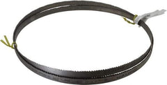Starrett - 5 to 8 TPI, 11' 5" Long x 3/4" Wide x 0.035" Thick, Welded Band Saw Blade - Bi-Metal, Toothed Edge, Raker Tooth Set, Contour Cutting - Apex Tool & Supply