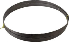 Starrett - 6 to 10 TPI, 12' 10" Long x 1" Wide x 0.035" Thick, Welded Band Saw Blade - Bi-Metal, Toothed Edge, Raker Tooth Set, Contour Cutting - Apex Tool & Supply