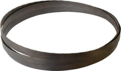 Starrett - 8 to 12 TPI, 14' 6" Long x 3/4" Wide x 0.035" Thick, Welded Band Saw Blade - Bi-Metal, Toothed Edge, Raker Tooth Set, Contour Cutting - Apex Tool & Supply