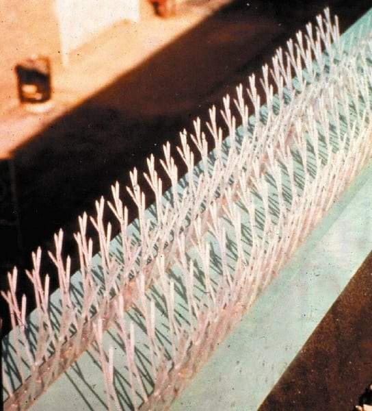 Bird-X - Plastic Bird Spikes - 4-1/2 Inch High x 2-1/4 Inch Wide x 25 Ft. Long x 0.5 Inch Thick - Apex Tool & Supply