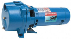 Goulds Pumps - 230 Volt, 13.9 Amp, 1 Phase, 2 HP, Self Priming Centrifugal Pump - 48J Frame, 1-1/2 Inch Inlet, 87 Max GPM, ODP Motor, Cast Iron Housing, Noryl Impeller, 106 Ft. Shut Off, Carbon Ceramic Mechanical Seal - Apex Tool & Supply