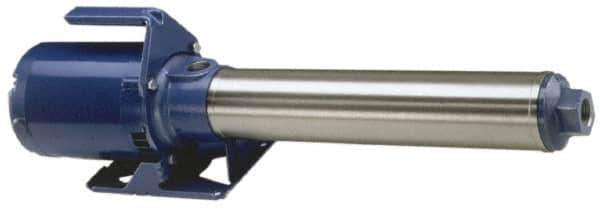 Goulds Pumps - 1-1/2 hp, 1 Phase, 115/230 Volt, Suction and Gravity Feed Pump, Multi Stage Booster Pump - Water Supply Booster, ODP Motor, 10 Stage - Apex Tool & Supply