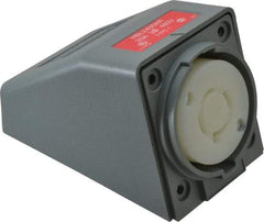 Hubbell Wiring Device-Kellems - 480 VAC, 20 Amp, L16-20R NEMA, Self Grounding Receptacle - 3 Poles, 4 Wire, Female End, Gray - Apex Tool & Supply