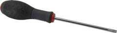 Blackhawk by Proto - TT30 Torx Driver - 5" Blade Length, 9-1/2" OAL, Ergonomic Handle - Apex Tool & Supply