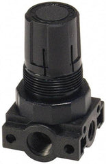 Parker - 3/8 NPT Port, Plastic Miniature Regulator - 0 to 60 psi Range, 150 Max psi Supply Pressure, 1/4" Gauge Port Thread, 2.06" Wide x 3.43" High - Apex Tool & Supply
