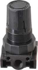 Parker - 1/4 NPT Port, Plastic Miniature Regulator - 0 to 125 psi Range, 150 Max psi Supply Pressure, 1/8" Gauge Port Thread, 1.6" Wide x 3.1" High - Apex Tool & Supply