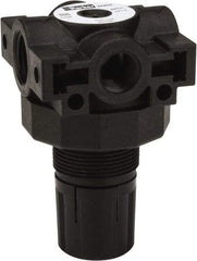 Parker - 3/8 NPT Port, Plastic Miniature Regulator - 0 to 25 psi Range, 150 Max psi Supply Pressure, 1/4" Gauge Port Thread, 2.06" Wide x 3.43" High - Apex Tool & Supply