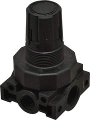 Parker - 3/8 NPT Port, Plastic Miniature Regulator - 0 to 60 psi Range, 150 Max psi Supply Pressure, 1/4" Gauge Port Thread, 2.06" Wide x 3.43" High - Apex Tool & Supply