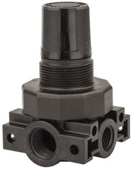 Parker - 3/8 NPT Port, Plastic Miniature Regulator - 0 to 125 psi Range, 150 Max psi Supply Pressure, 1/4" Gauge Port Thread, 2.06" Wide x 3.43" High - Apex Tool & Supply