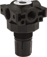 Parker - 3/8 NPT Port, Plastic Miniature Regulator - 0 to 125 psi Range, 150 Max psi Supply Pressure, 1/4" Gauge Port Thread, 2.06" Wide x 3.43" High - Apex Tool & Supply
