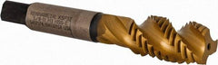 Kennametal - 5/8-11 3 Flute 3B Modified Bottoming Spiral Flute Tap - Vanadium High Speed Steel, TiCN/TiN Finish, 3-13/16" OAL, Right Hand Flute, Right Hand Thread, H3, Series GOtap\xAE - Apex Tool & Supply