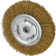 Value Collection - 6" OD, 5/8" Arbor Hole, Crimped Brass Wheel Brush - 1/2" Face Width, 1-1/8" Trim Length, 0.02" Filament Diam, 6,000 RPM - Apex Tool & Supply