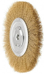 Value Collection - 8" OD, 1/4" Arbor Hole, Crimped Brass Wheel Brush - 1/2" Face Width, 1-3/4" Trim Length, 0.012" Filament Diam, 4,500 RPM - Apex Tool & Supply